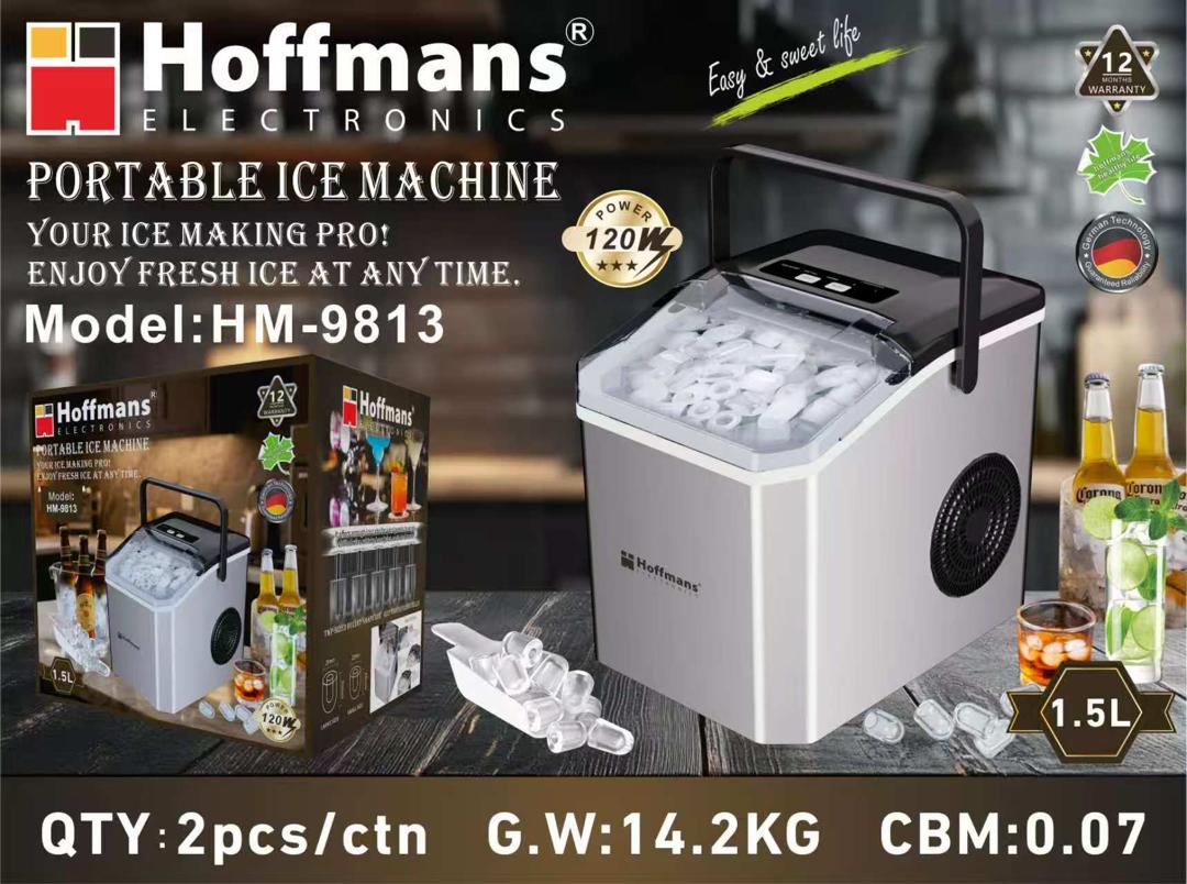 Ice maker